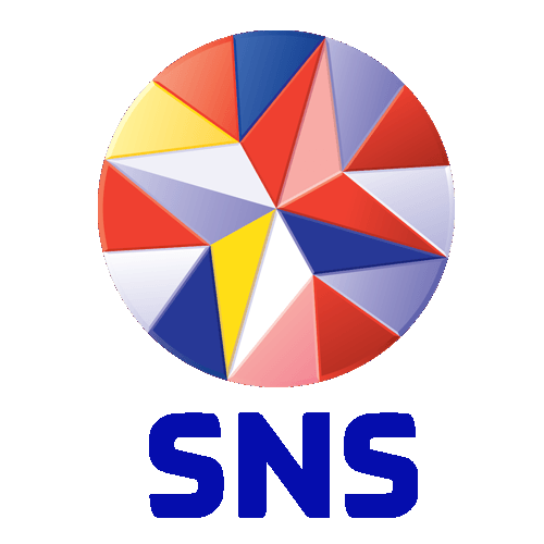 sns logo 2